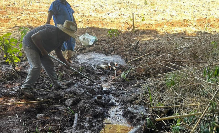 Recuperação de nascentes é uma das atividades programadas pelo IAT para a semana da água.