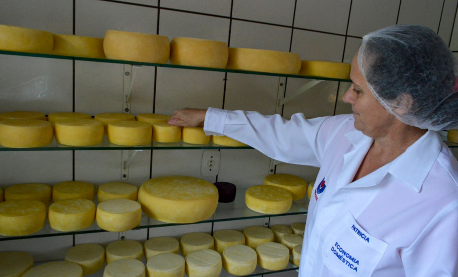 SEI PRODUTORES ARTESANAIS