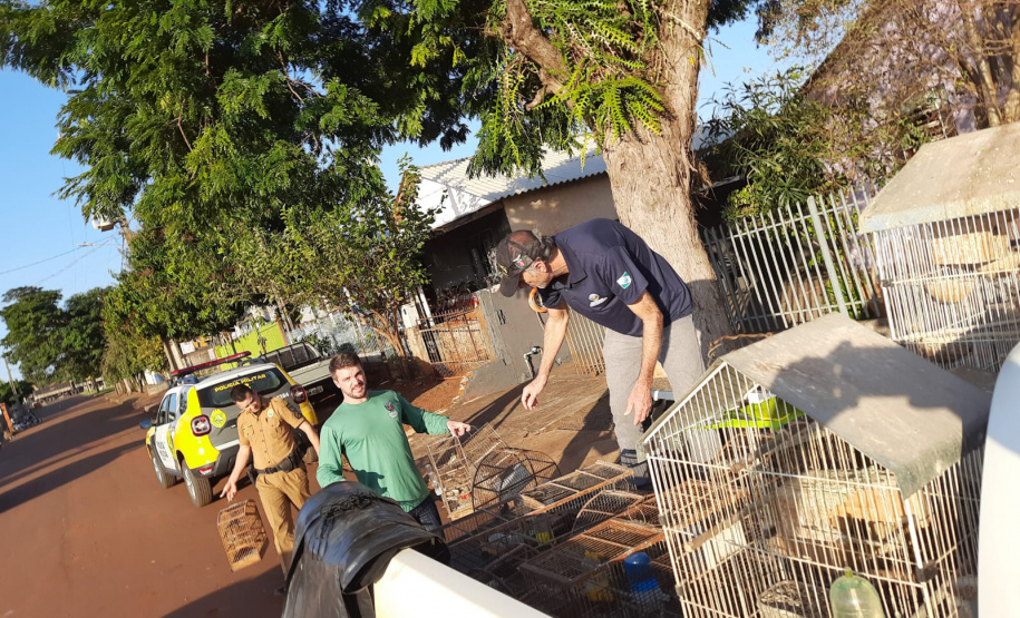 IAT MULTAS CRIMES AMBIENTAIS