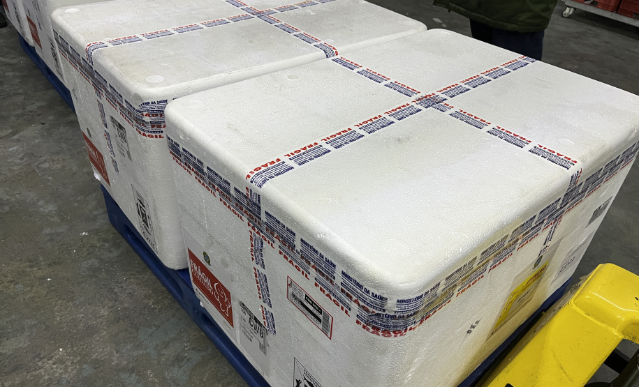 VACINA DENGUE APUCARANA