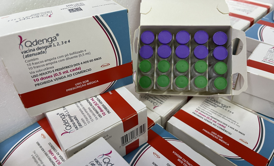VACINA DENGUE APUCARANA