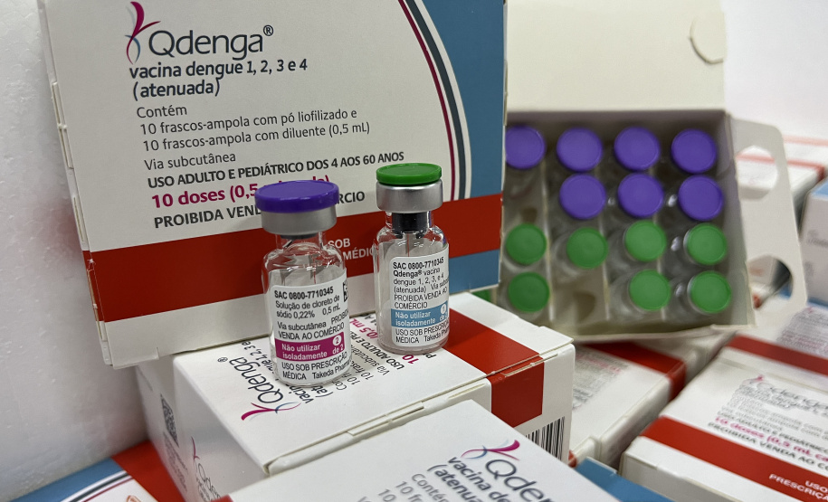 VACINA DENGUE APUCARANA