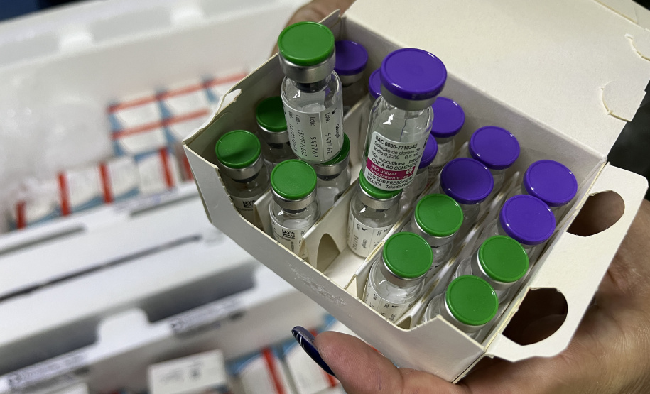 VACINA DENGUE APUCARANA