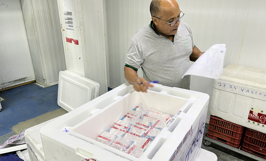 VACINA DENGUE APUCARANA