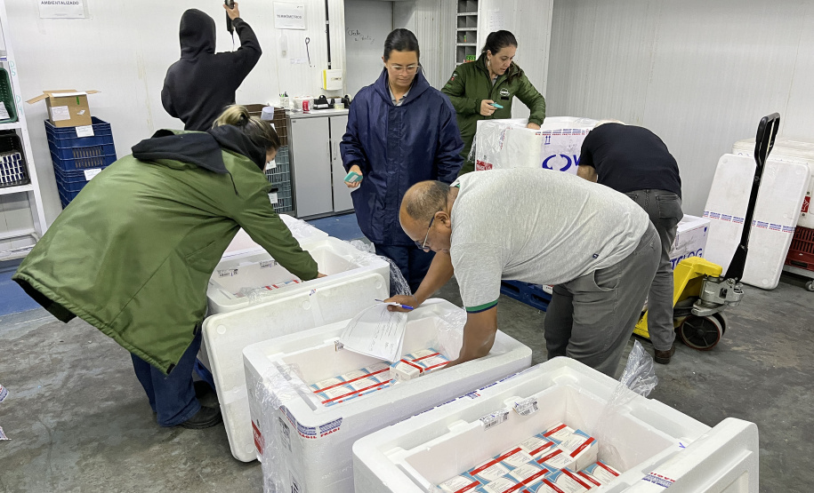 VACINA DENGUE APUCARANA