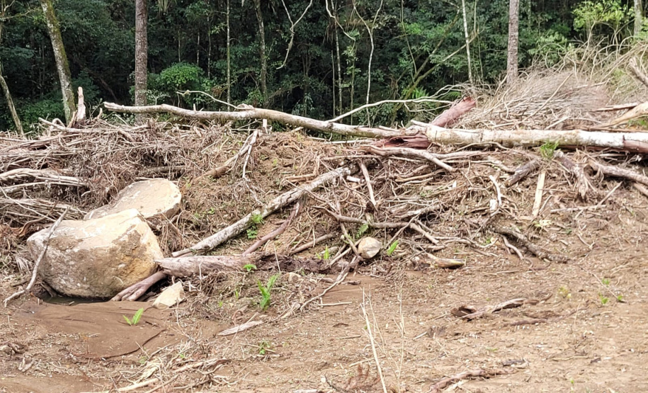 IAT MULTAS CRIMES AMBIENTAIS