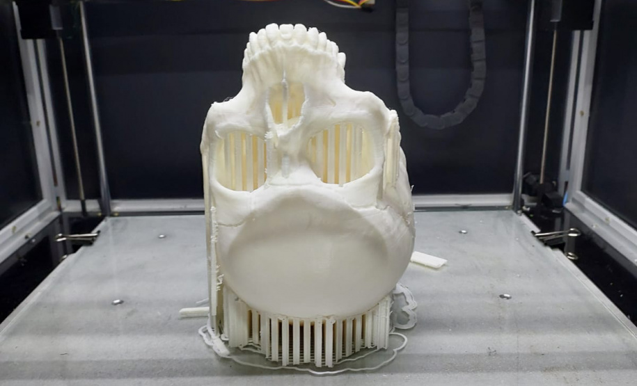 POLÍCIA CIENTÍFICA CRÂNIO 3D