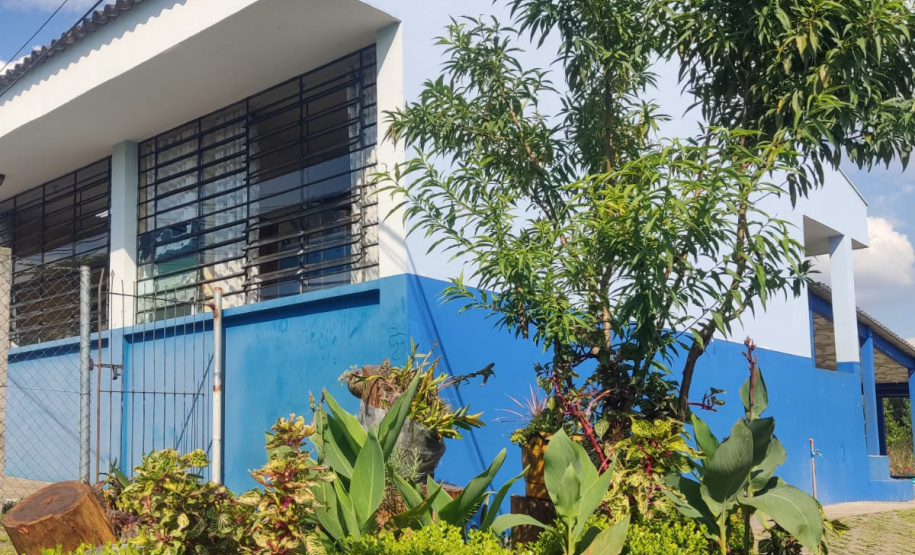 SEED COMBATE BULLYING