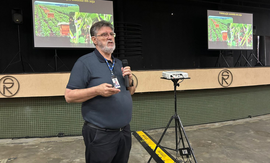 IDR CRIAÇÃO DE ABELHAS EXPOLONDRINA