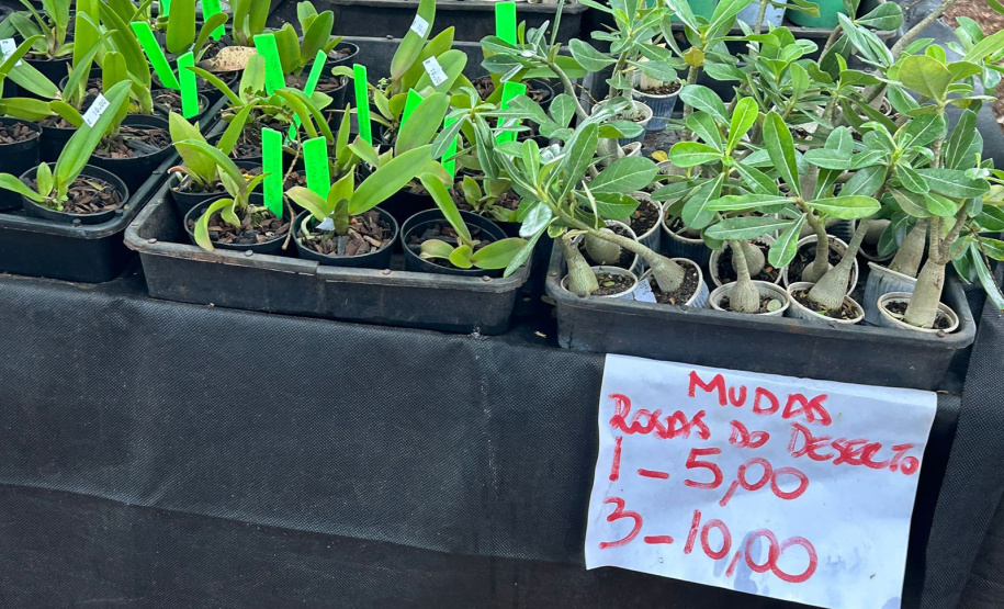 IDR TURISMO RURAL EXPOLONDRINA