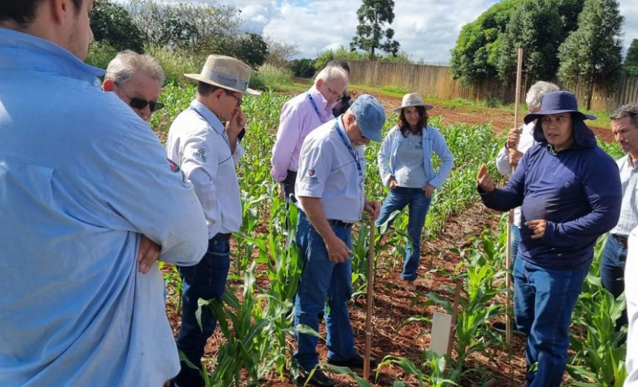 IDR REDE DE AGROPESQUISA