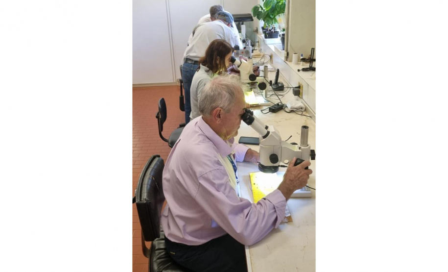 IDR REDE DE AGROPESQUISA