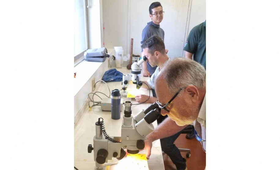 IDR REDE DE AGROPESQUISA