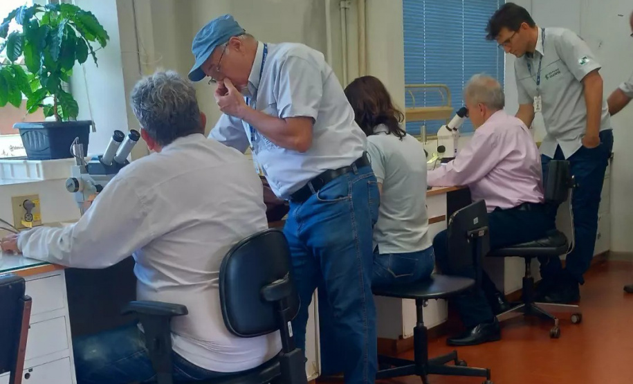 IDR REDE DE AGROPESQUISA