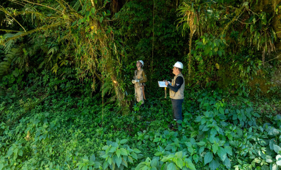 COPEL RELATO INTEGRADO