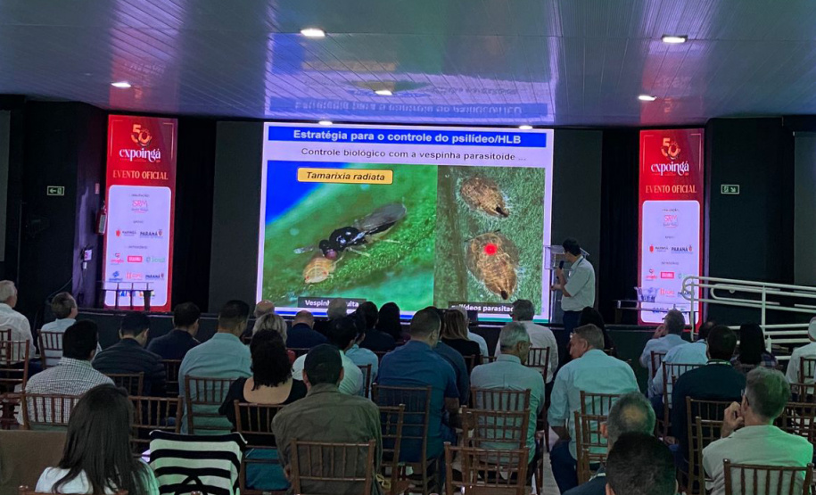 SEAB Evento de greening - expoinga