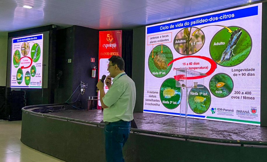 SEAB Evento de greening - expoinga