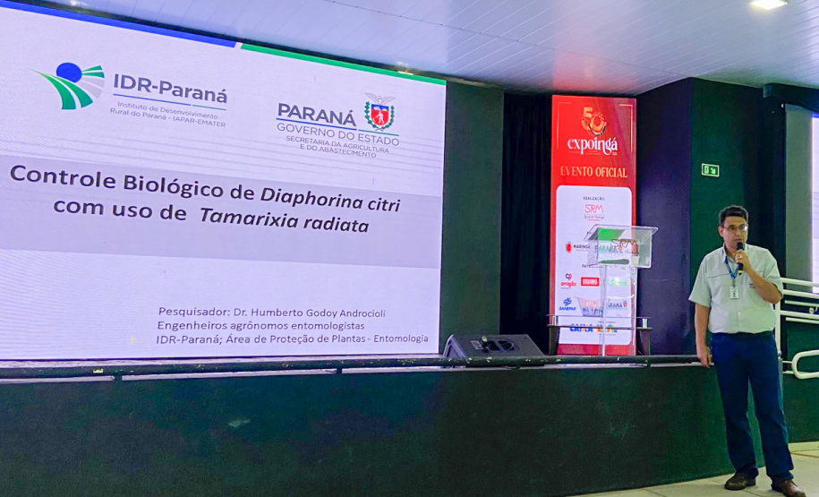 SEAB Evento de greening - expoinga