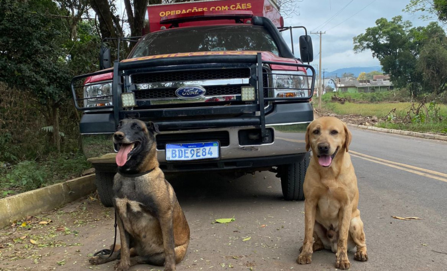 CERTIFICAÇÃO DE CÃES BOMBEIROS