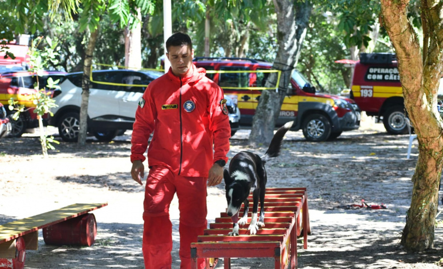 CERTIFICAÇÃO DE CÃES BOMBEIROS