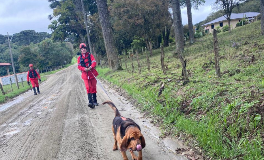 CERTIFICAÇÃO DE CÃES BOMBEIROS