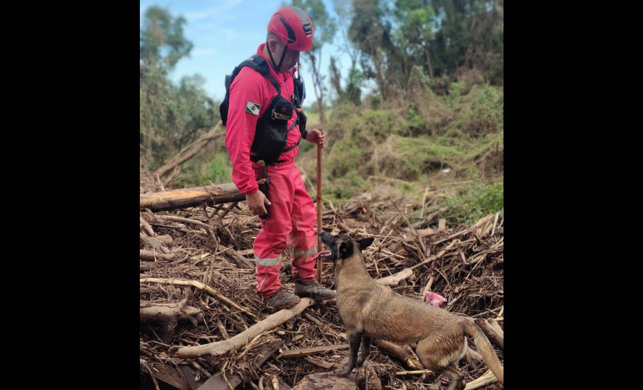 CERTIFICAÇÃO DE CÃES BOMBEIROS
