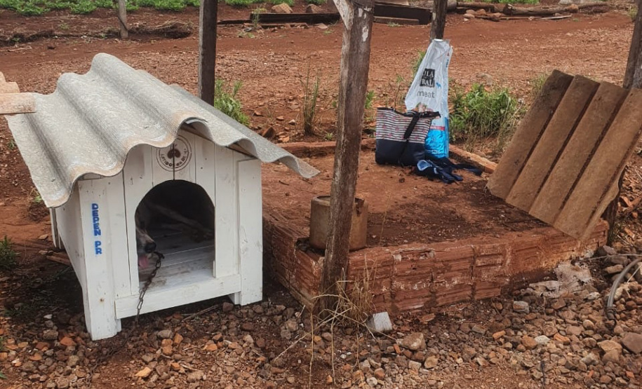 SESP CASINHAS CÃES RESGATADOS RS