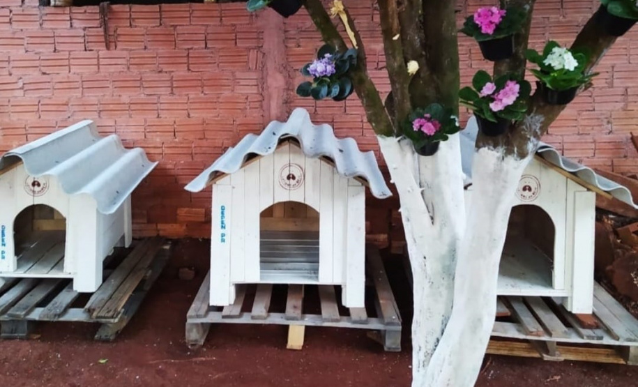 SESP CASINHAS CÃES RESGATADOS RS