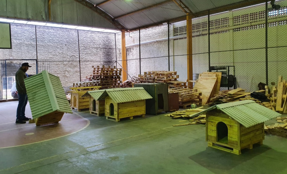 SESP CASINHAS CÃES RESGATADOS RS