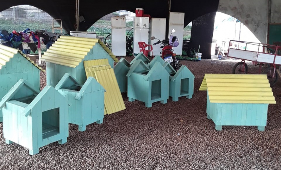 SESP CASINHAS CÃES RESGATADOS RS