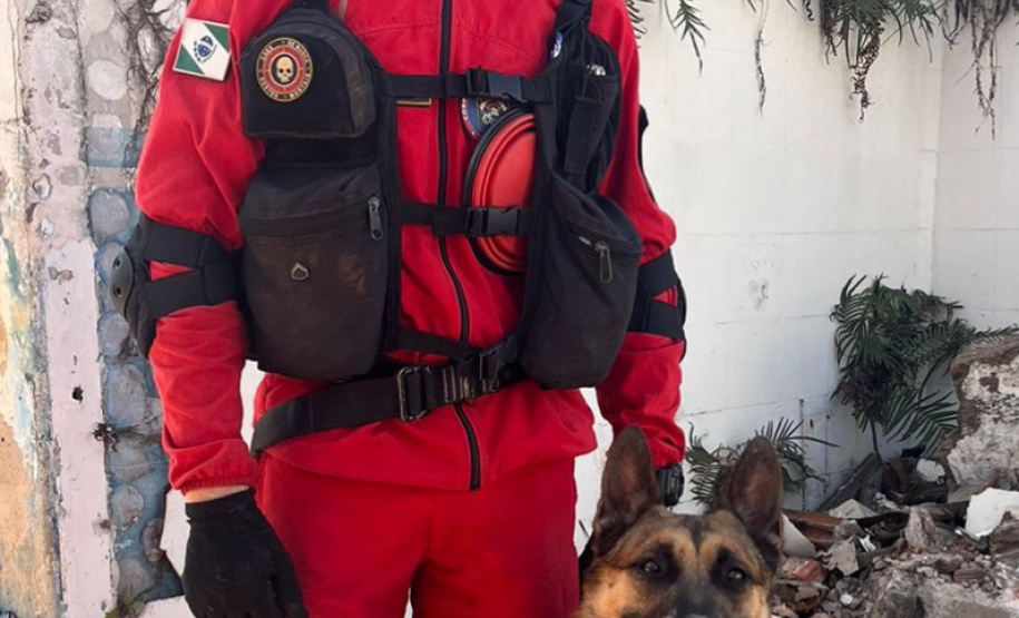 BOMBEIROS CÃES EM DESASTRES