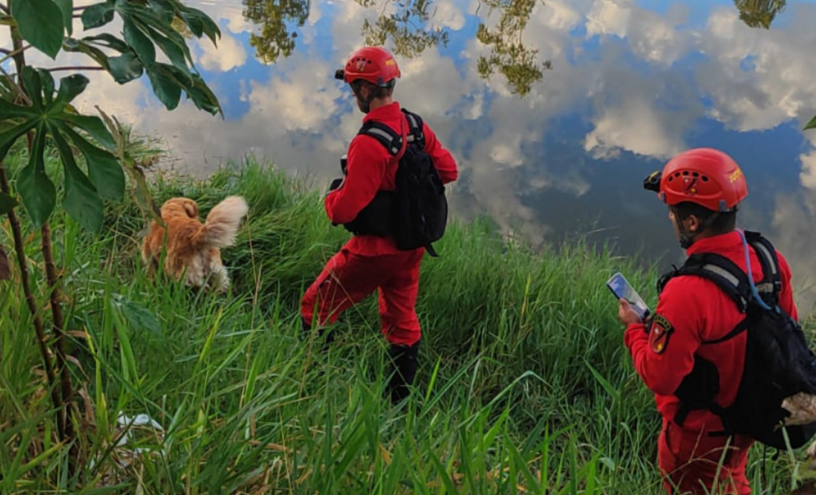 BOMBEIROS CÃES EM DESASTRES