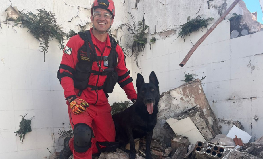 BOMBEIROS CÃES EM DESASTRES