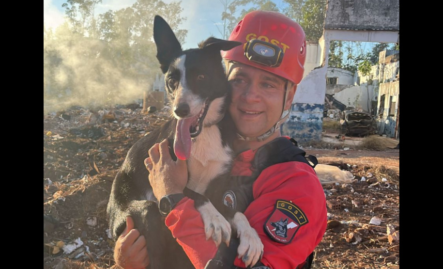 BOMBEIROS CÃES EM DESASTRES