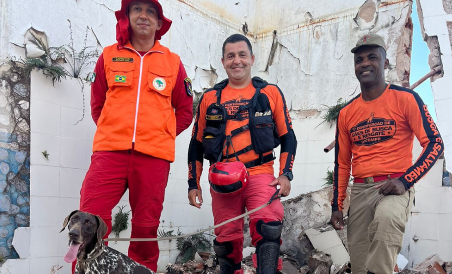 BOMBEIROS CÃES EM DESASTRES