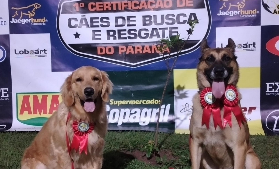 BOMBEIROS CÃES EM DESASTRES