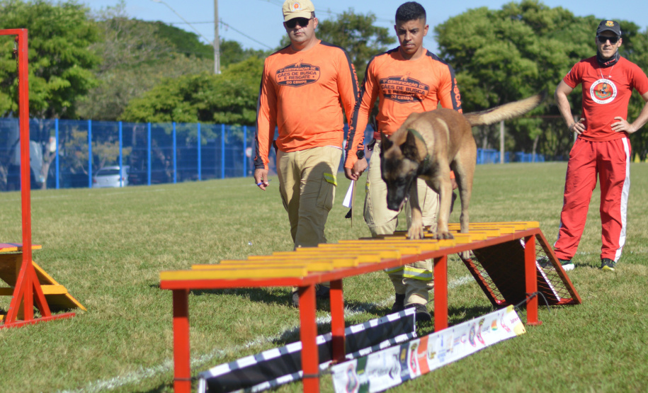 BOMBEIROS CÃES EM DESASTRES