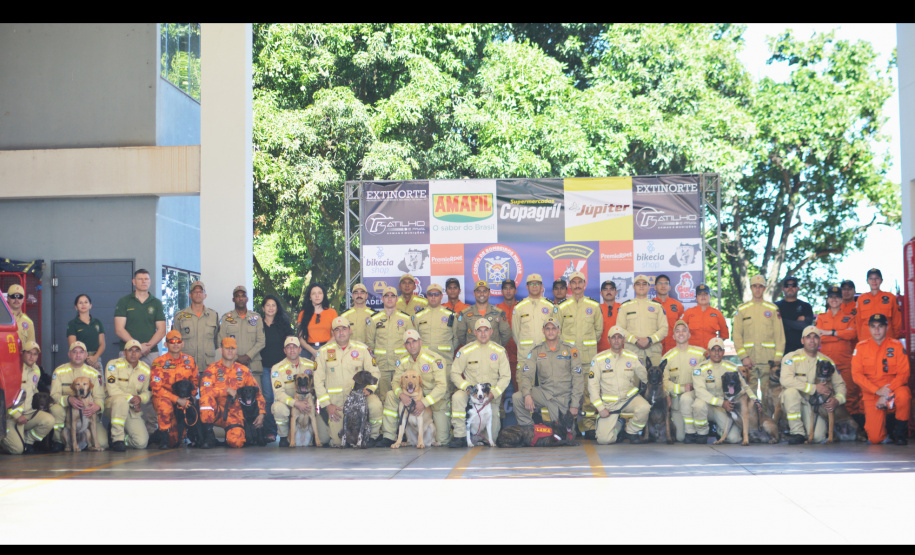 BOMBEIROS CÃES EM DESASTRES