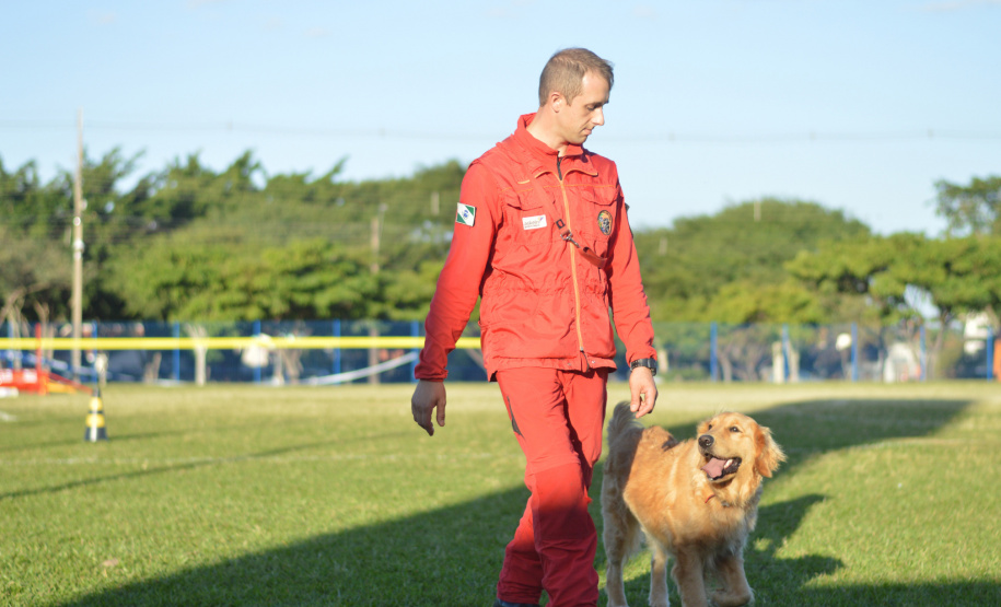 BOMBEIROS CÃES EM DESASTRES