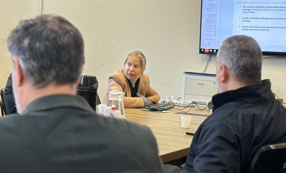 SEAB AÇÕES NOVA VESPA DA MADEIRA