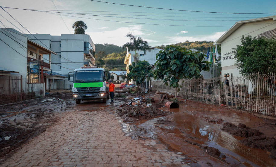 De limpeza de escola a salvamento de animais: a rotina solidária da equipe do IAT no RS