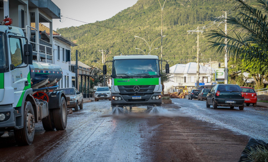 De limpeza de escola a salvamento de animais: a rotina solidária da equipe do IAT no RS