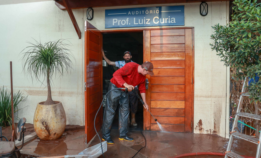 De limpeza de escola a salvamento de animais: a rotina solidária da equipe do IAT no RS