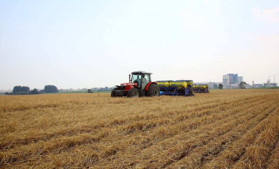 SAFRA FEIJÃO E MILHO