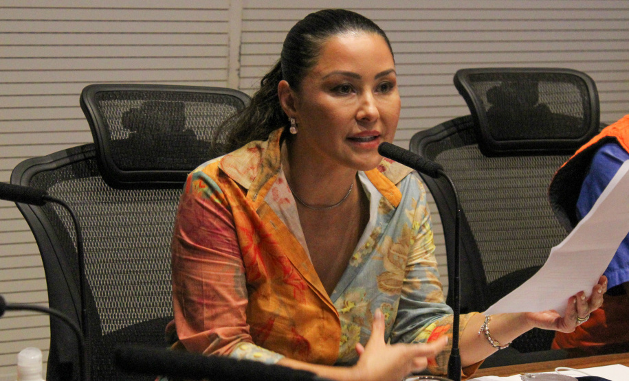 REUNIÃO PRIMEIRA DAMA