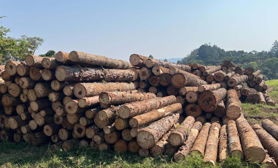 Operação de fiscalização remota aplicou R$ 5,9 milhões em multas por desmatamento ilegal no Paraná.