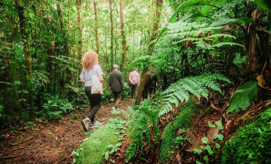 Paranaenses podem contribuir com o turismo de natureza e concorrer a prêmios de passeios