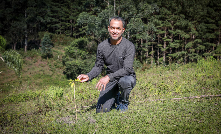 Prefeituras de 50 municípios já plantaram 86.930 mudas no programa Asfalto Novo, Vida Nova