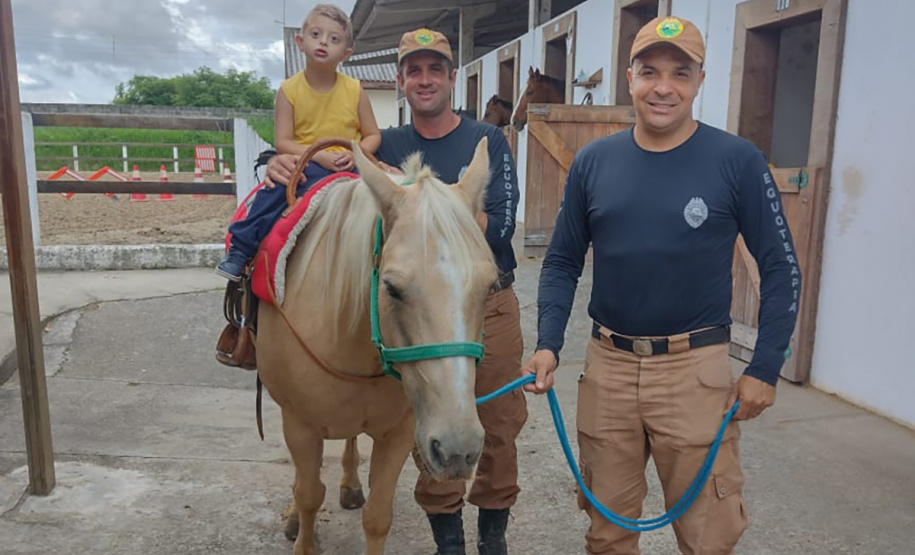 Terapia com cavalos oferecida pela PMPR colabora na qualidade de vida de pessoas com deficiência