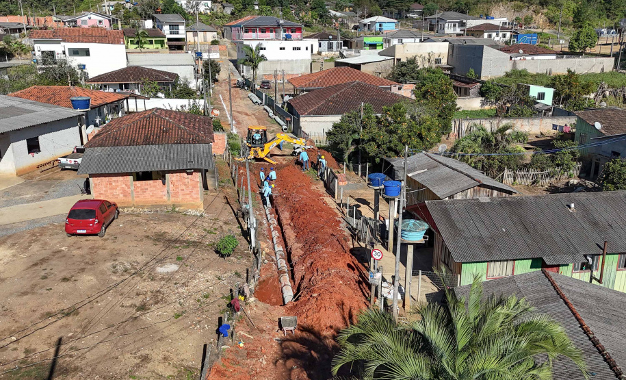 Prefeituras de 50 municípios já plantaram 86.930 mudas no programa Asfalto Novo, Vida Nova